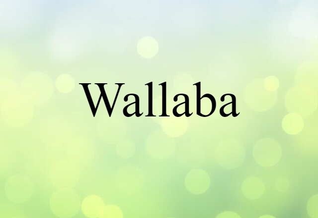 wallaba