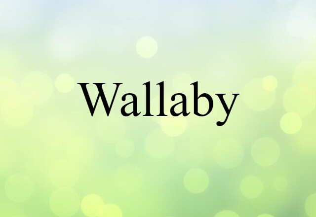 wallaby