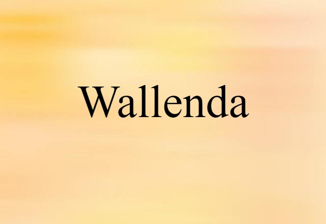 Wallenda (noun) Definition, Meaning & Examples