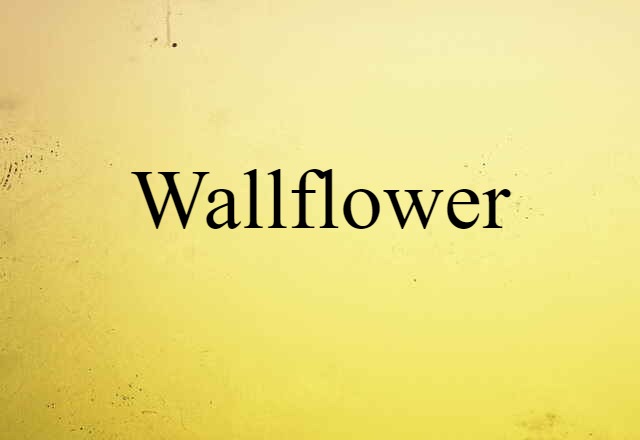 wallflower