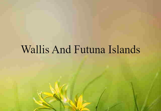 Wallis And Futuna Islands (noun) Definition, Meaning & Examples