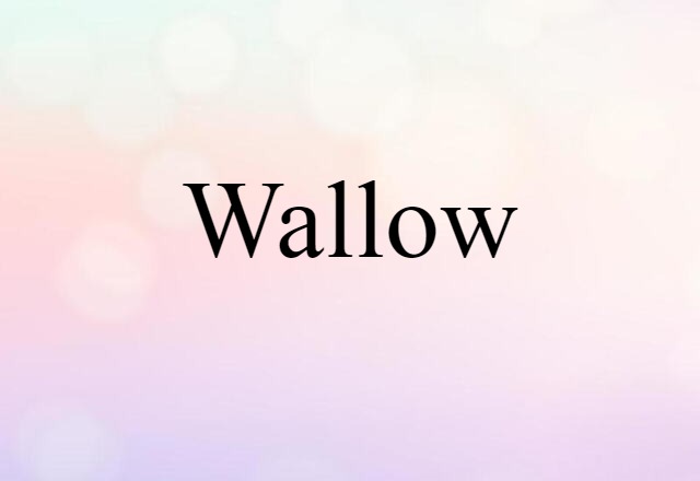 Wallow (noun) Definition, Meaning & Examples