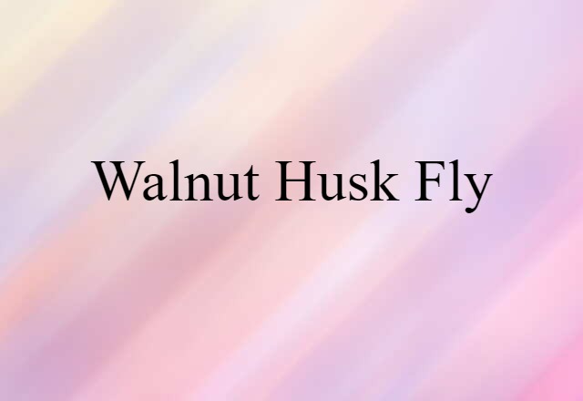 walnut husk fly