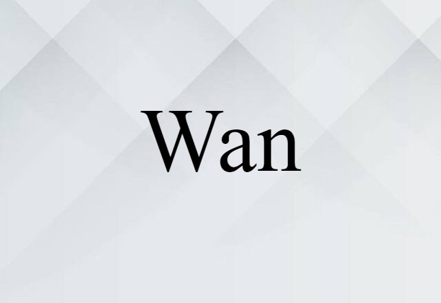 Wan (noun) Definition, Meaning & Examples