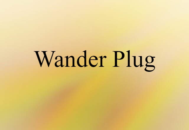 Wander Plug (noun) Definition, Meaning & Examples