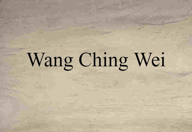 Wang Ching-wei (noun) Definition, Meaning & Examples