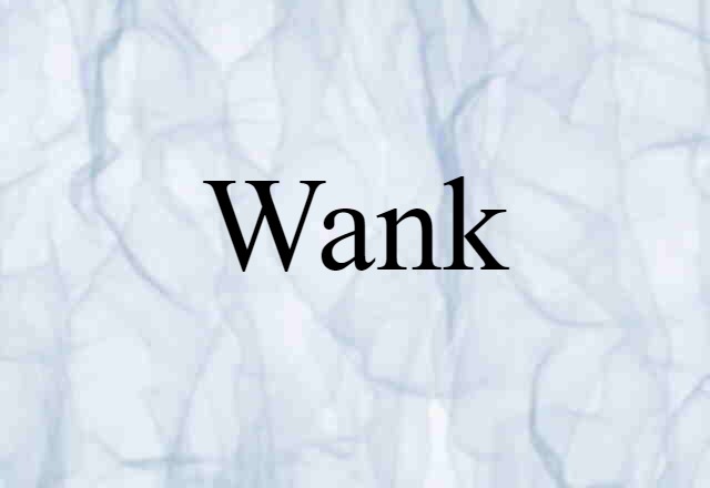 Wank (noun) Definition, Meaning & Examples