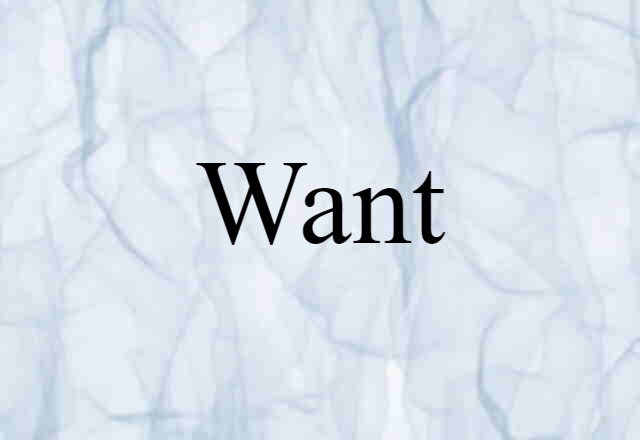 Want (noun) Definition, Meaning & Examples