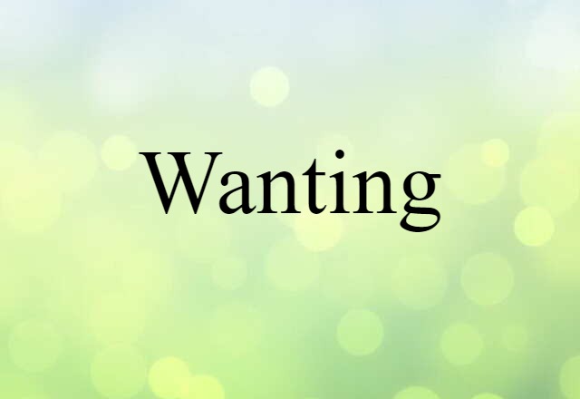 Wanting (noun) Definition, Meaning & Examples