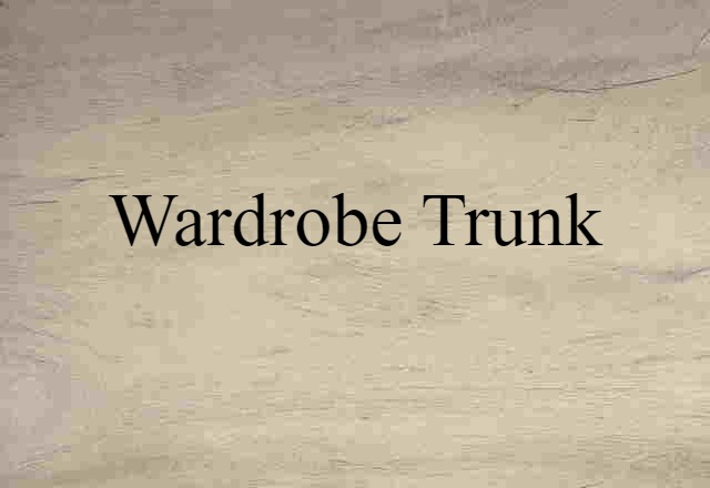 Wardrobe Trunk (noun) Definition, Meaning & Examples