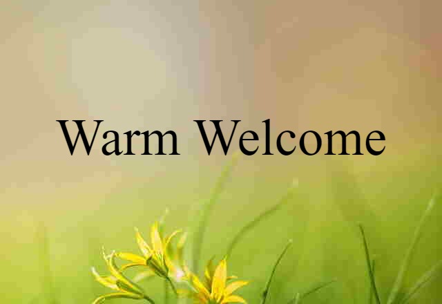 Warm Welcome (noun) Definition, Meaning & Examples