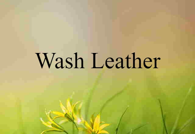 wash-leather