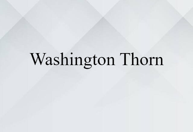 Washington Thorn (noun) Definition, Meaning & Examples