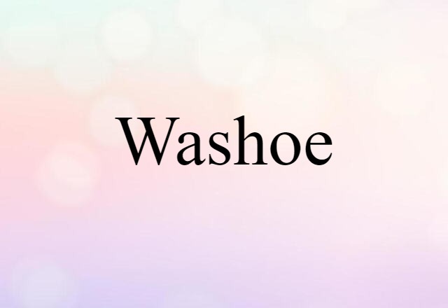 Washoe (noun) Definition, Meaning & Examples