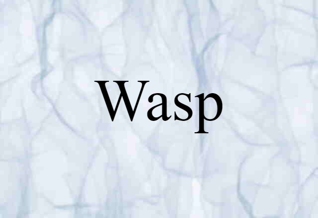 Wasp (noun) Definition, Meaning & Examples