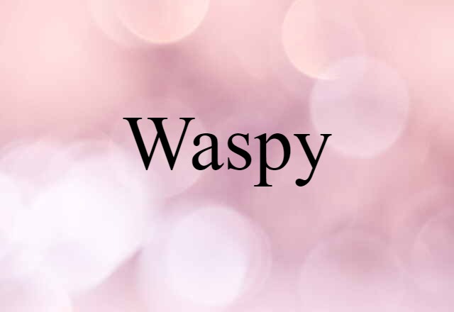 Waspy (noun) Definition, Meaning & Examples