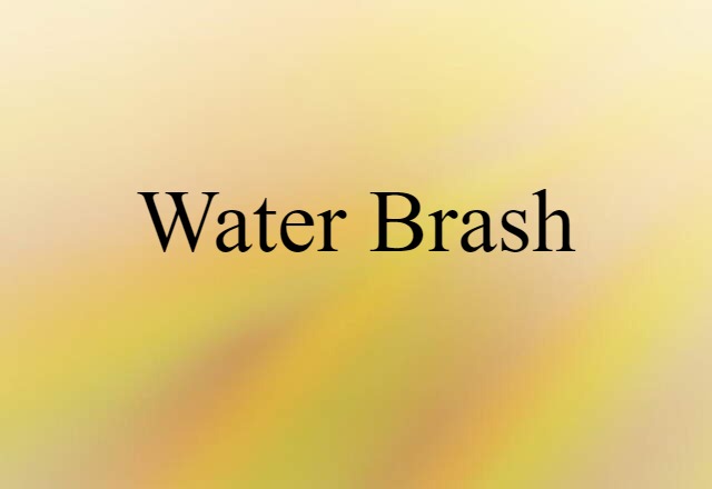 Water Brash (noun) Definition, Meaning & Examples