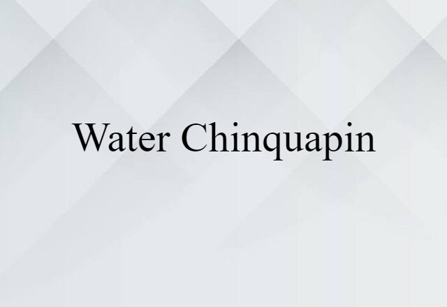 water chinquapin