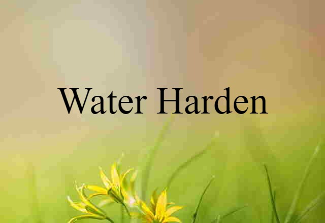 Water-harden (noun) Definition, Meaning & Examples