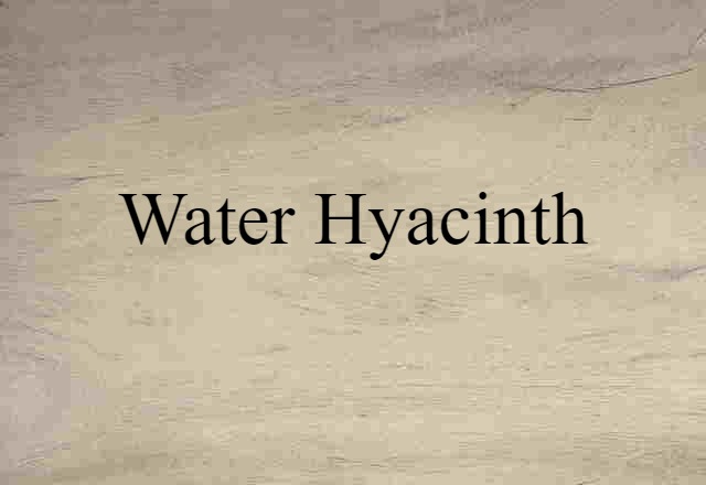 Water Hyacinth (noun) Definition, Meaning & Examples