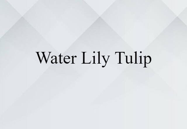 Water Lily Tulip (noun) Definition, Meaning & Examples