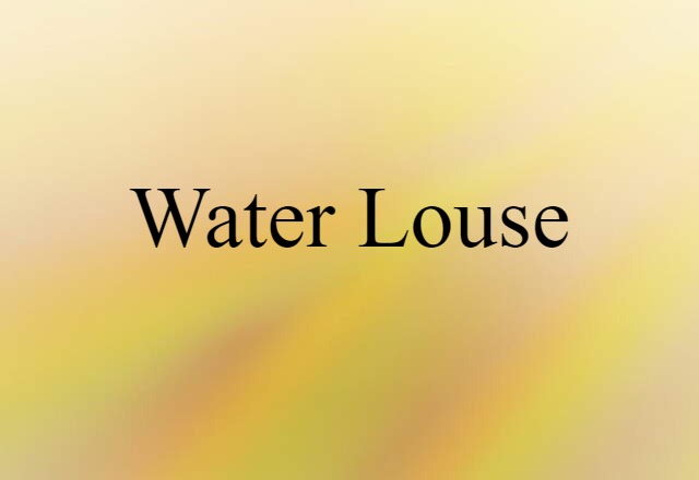 water louse