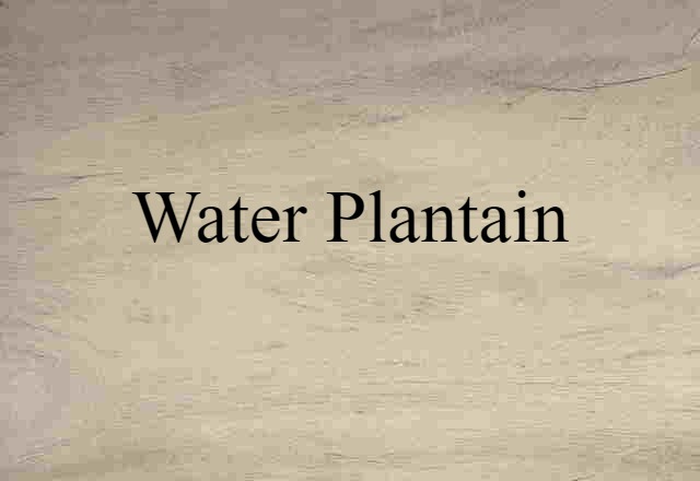 water plantain