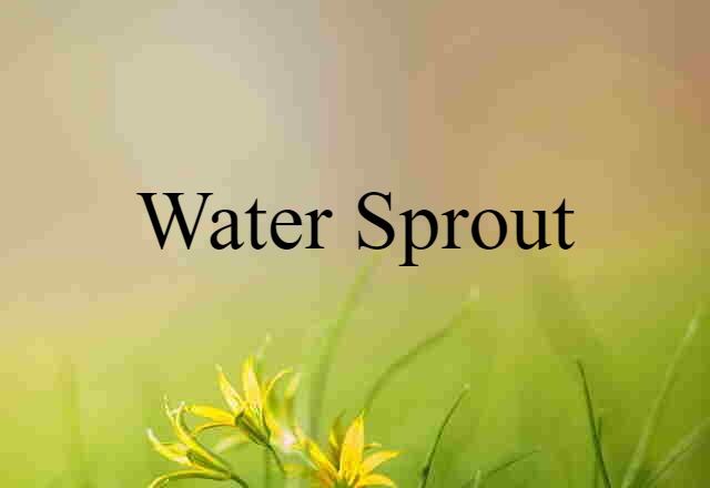 water sprout