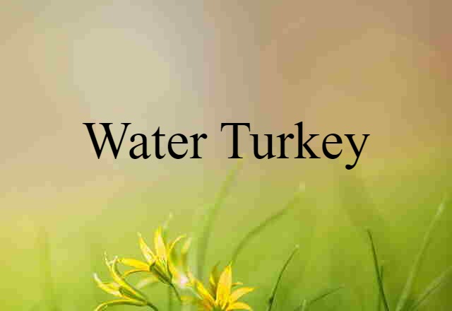 water turkey