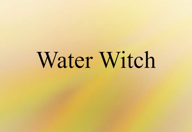 Water Witch (noun) Definition, Meaning & Examples