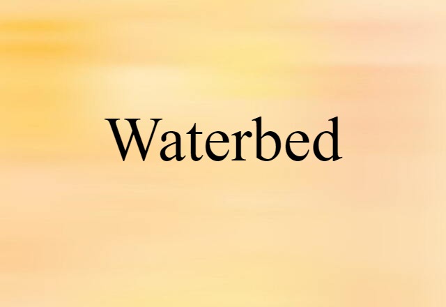 Waterbed (noun) Definition, Meaning & Examples