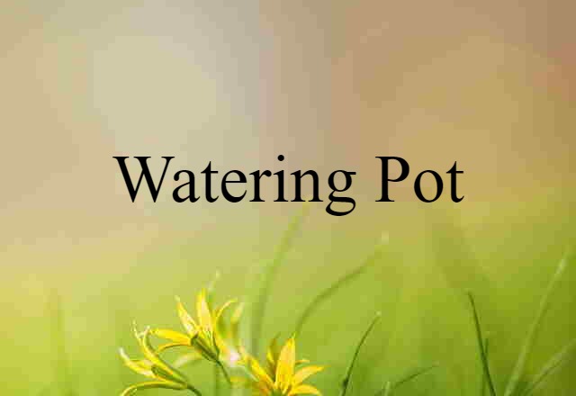 Watering Pot (noun) Definition, Meaning & Examples