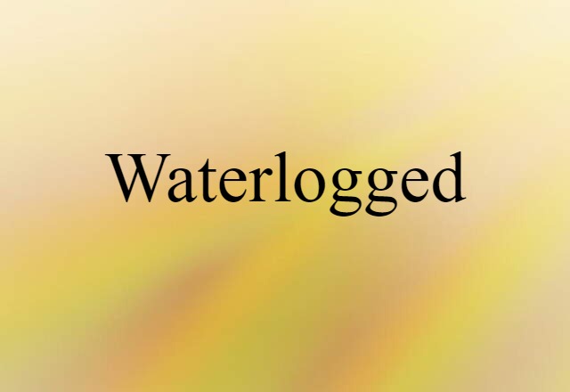 Waterlogged (noun) Definition, Meaning & Examples