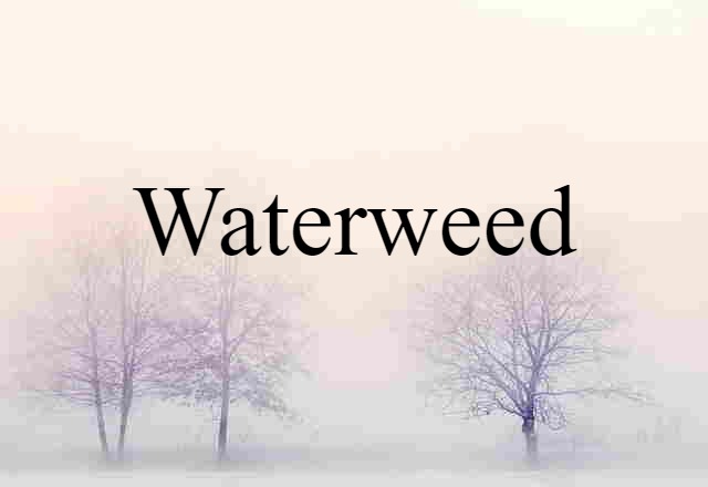 Waterweed (noun) Definition, Meaning & Examples