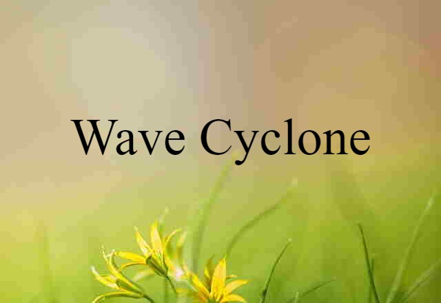 wave cyclone