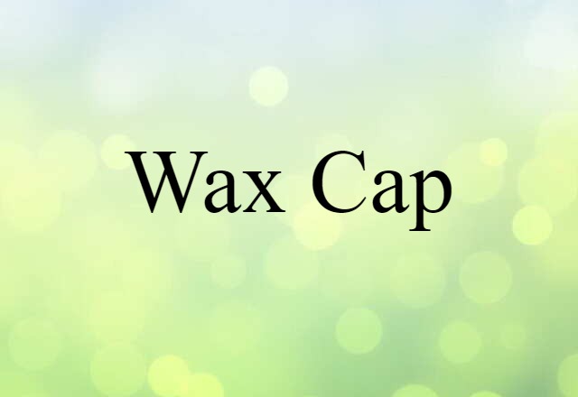 Wax Cap (noun) Definition, Meaning & Examples