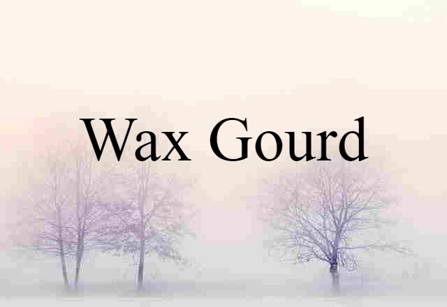 Wax Gourd (noun) Definition, Meaning & Examples