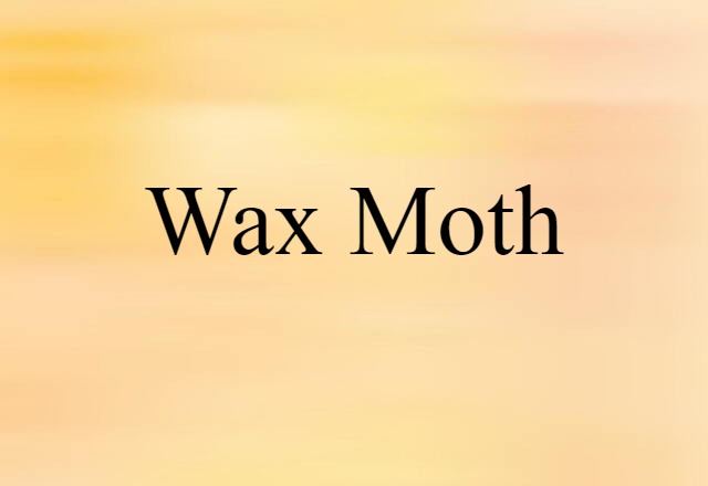 wax moth