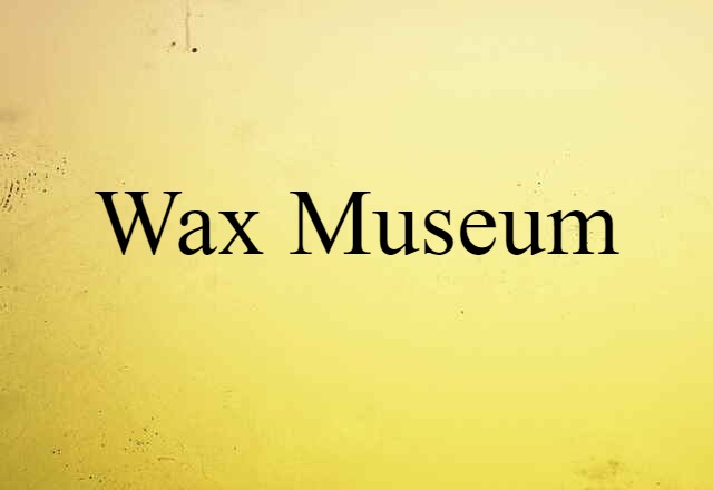 Wax Museum (noun) Definition, Meaning & Examples