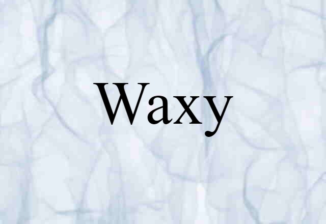 waxy