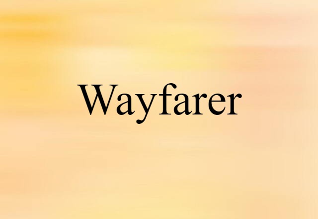 Wayfarer (noun) Definition, Meaning & Examples