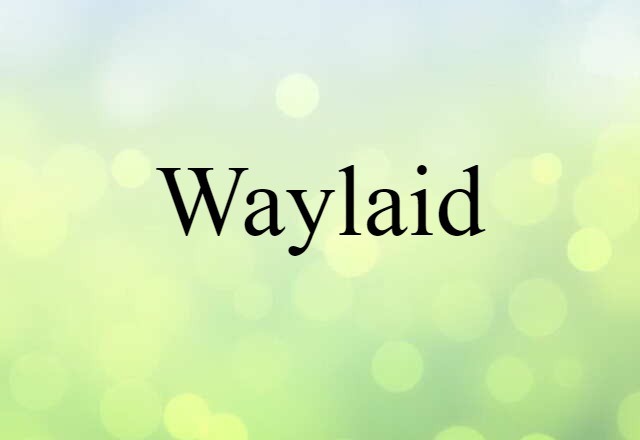 Waylaid (noun) Definition, Meaning & Examples