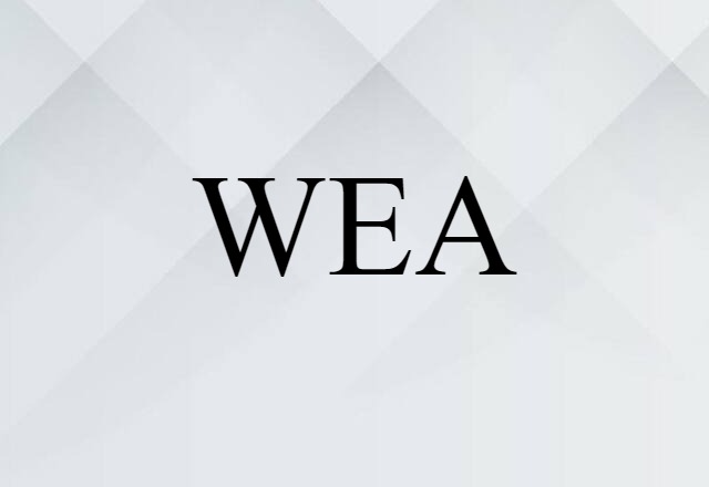 WEA (noun) Definition, Meaning & Examples