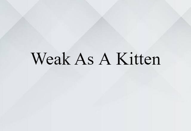 Weak As A Kitten (noun) Definition, Meaning & Examples