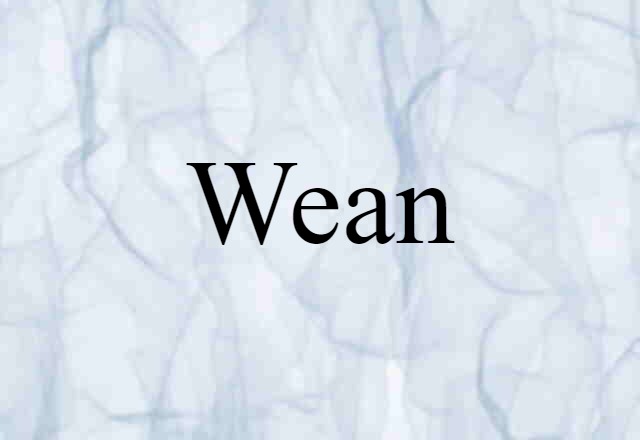 Wean (noun) Definition, Meaning & Examples