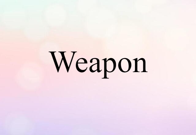 Weapon (noun) Definition, Meaning & Examples