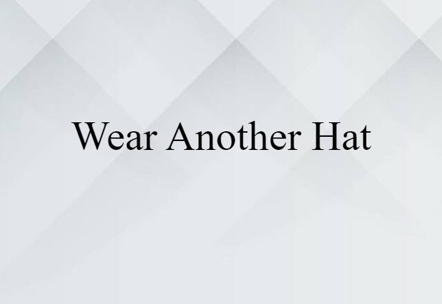 Wear Another Hat (noun) Definition, Meaning & Examples