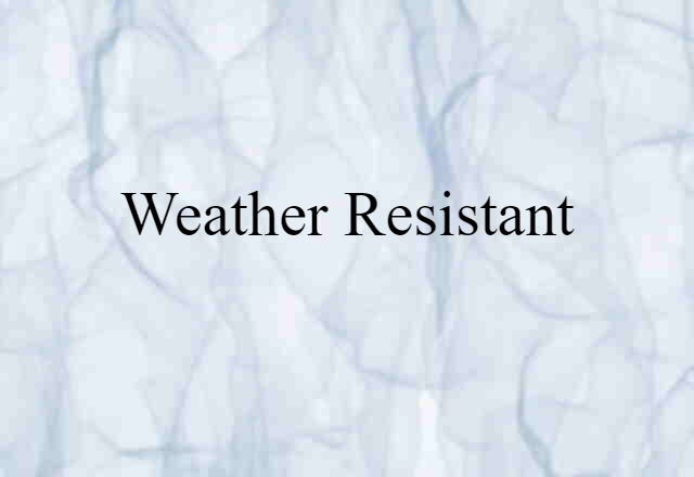 Weather Resistant (noun) Definition, Meaning & Examples