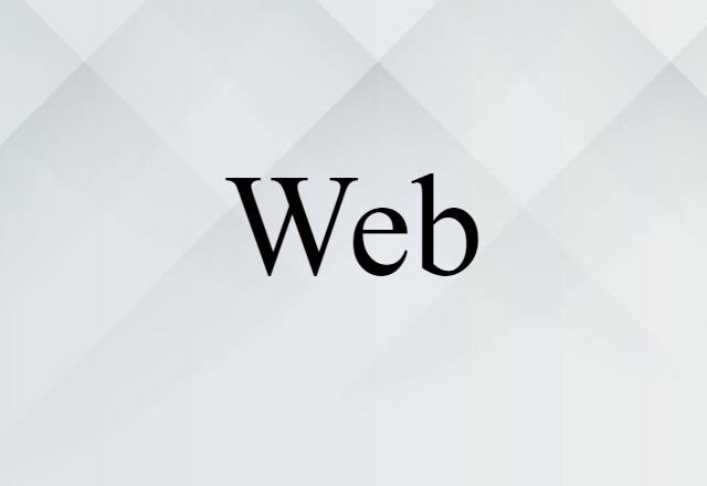 Web (noun) Definition, Meaning & Examples