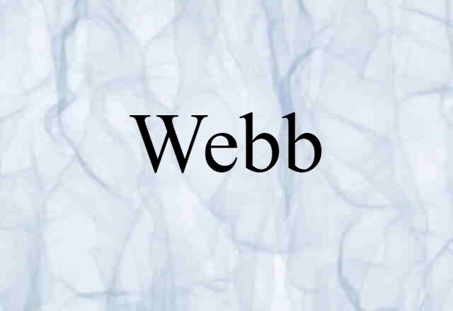 Webb (noun) Definition, Meaning & Examples